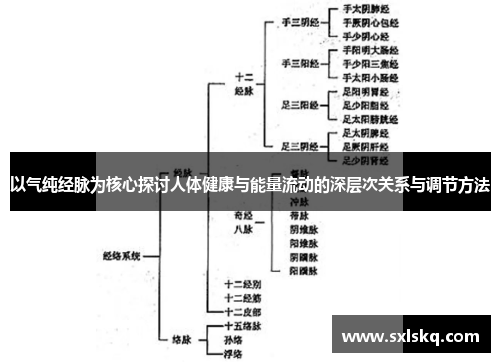 以气纯经脉为核心探讨人体健康与能量流动的深层次关系与调节方法